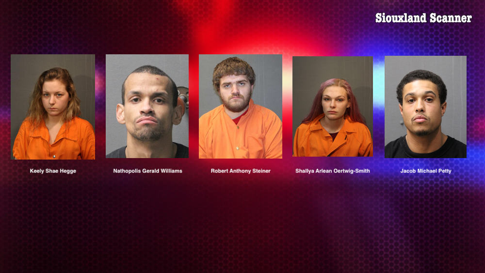 Five arrested after breaking into Sloan apartment taking a dog and money